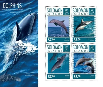 фото, Соломоновы о-ва-Дельфины-2014.Чистый полный комплект.MNH.