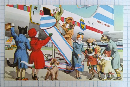 Поштова картка Одягнуті Котики Альфреда Майнзера 1970-ті aM05 Ціна