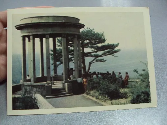 Купити открытка крым мисхор альтанка отдыха золотарева №7668