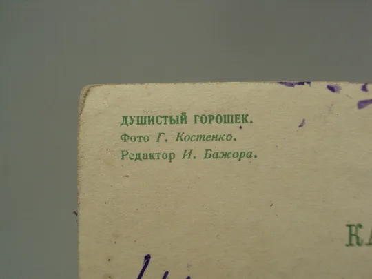 Открытка душистый горошек фото Г. Костенко редактор И. Бажора 1968 год  №18048 Де купити