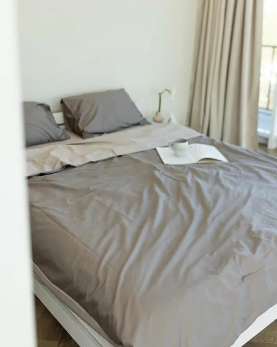 Постельное белье двуспальное Dushka Home Сатин Люкс 20909 180х215 см серый с светло-серым З аукціону