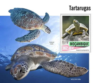 фото, Мозамбик-Черепахи-2020.Чистый полный красивый комплект.MNH.