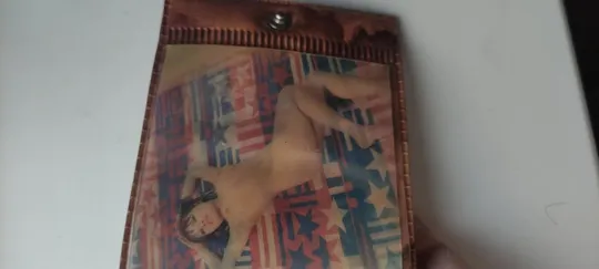 Винтажный Кошелек с переливающейся картинкой - Девушка в купальнике и без него,ft245 Недорого