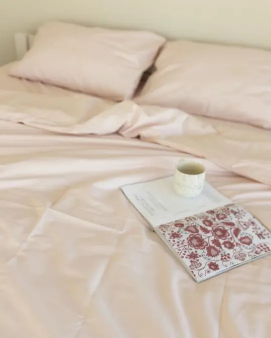 Постельное белье полуторное Dushka Home Сатин Люкс 20936 160х215 см бледно персиковое Де купити