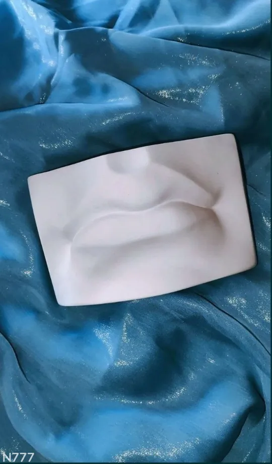 Губи Давида гіпсове кашпо З аукціону