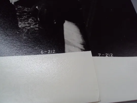 Кадр из фильма Сэр 6 и 7 - 212 рф фотография 23,7х18,3 см лот 2 шт №18378МЯ Інтернет-аукціон