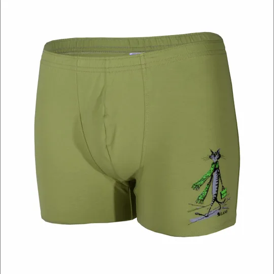 Чоловічі подовжені шорти транки Lans Кіт з портфелем 06/011 фісташка зелені 4XL Ціна