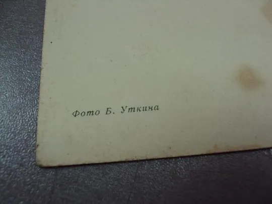 открытка ленинград пискаревское кладбище 1966 уткина №10637 Де купити