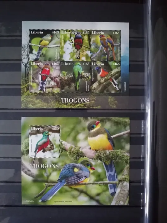 Либерия-Птицы-2022.Чистый полный красивый комплект.MNH. З аукціону
