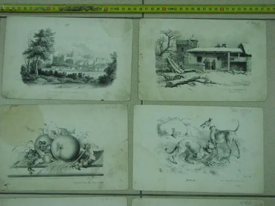 литографии германия lith druck u verlag v wilh hermes in berlin лот 9 шт №8046 Продаж