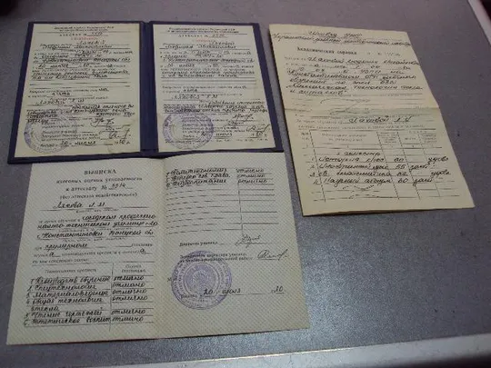 документ выписка аттестат с отличием константиновка гпму №20 1980 №4382 З аукціону