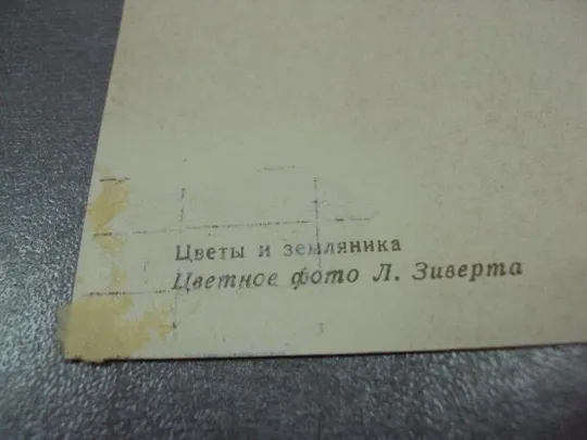 открытка цветы и земляника зиверта 1961 №12435 Продаж