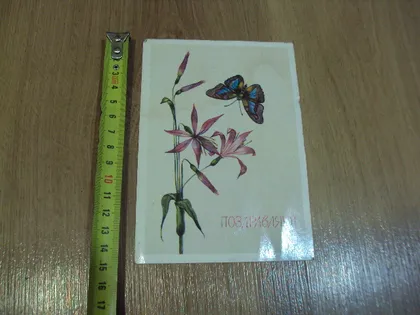 фото, Открытка Поздравляю! цветы бабочка художник Н. Савельева 1989 год №18657