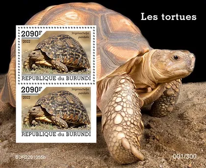 фото, Бурунди -Черепахи-2022.Чистый полный комплект.MNH.