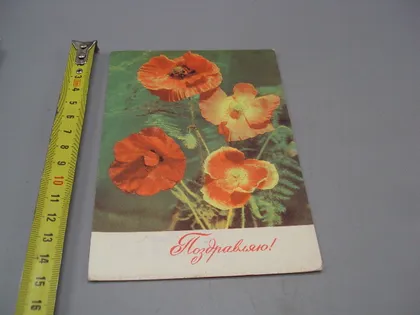 фото, Открытка Поздравляю! цветы мак фото И. Дергилева 1969 год №18005