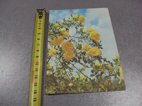 открытка роза френкеля 1977 №1687 Ціна