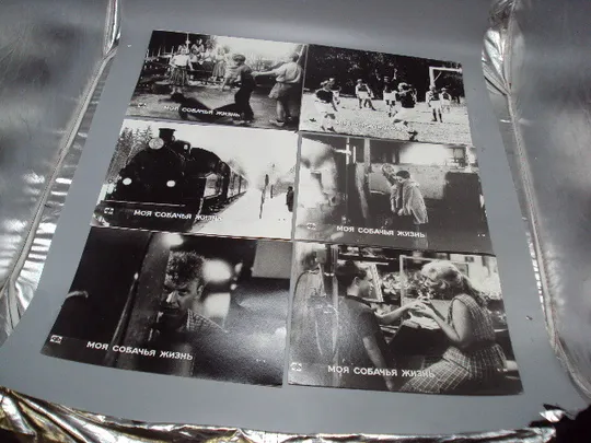 Кадр из фильма Моя собачья жизнь 1, 2, 3, 4, 5, 6 - 92 фотография 23,7х18,3 см лот 6 шт №18352МЯ Ціна