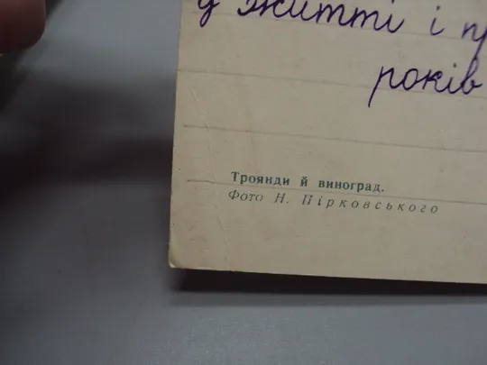 Открытка цветы розы и виноград фото Н. Пирковского 1969 год №18028 Де купити