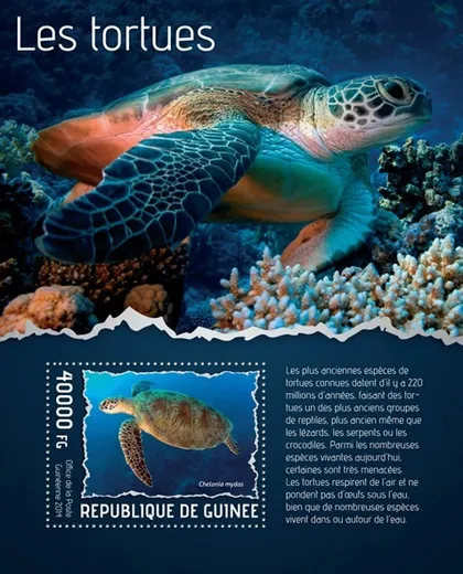 фото, Гвинея- Черепахи-2014.Чистый полный красивый комплект.MNH.