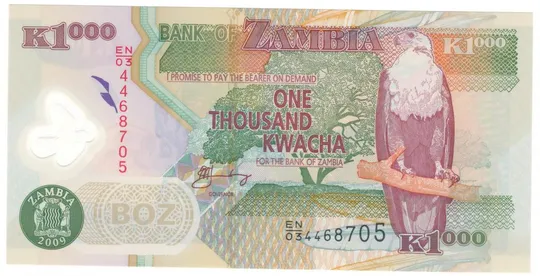 1000 квача 2009 року UNC Замбія Полімер Ціна