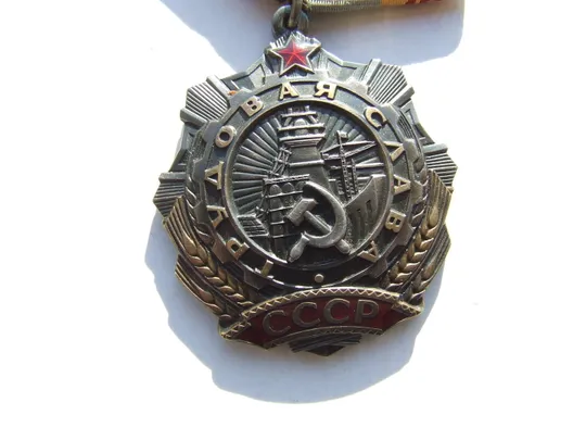 Орден Трудовая Слава  - 3  степени  № 485 319 награждения 1982 гг. на Супрун Л. И.  Следы  носки  отсутствуют. Інтернет-аукціон