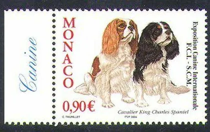 фото, Монако Фауна Собаки Спаниель 2004
