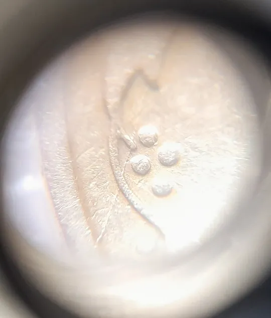 Купити (2511) 50 копійок 1992 2.1ААм розколи у 6 гроні + здвоєння (зминання)(50 копеек 1992 2.1ААм брак)