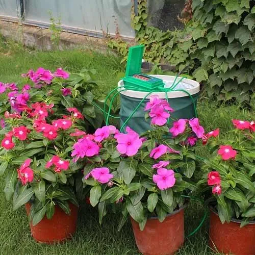 Купити Система капельного полива комнатных растений с таймером, Aqualin YL22018