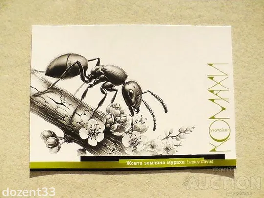 Поштовий набір " Комахи України " 2024 рік (Аркуш, КПД, НХК, 7 карток) Недорого