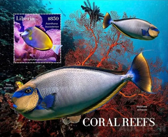 Купити Либерия-Рыбы-2022.Чистый полный красивый комплект.  MNH.