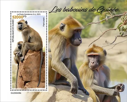 фото, Гвинея-Обезьяны-Бабуины-2023. Чистый полный красивый комплект. MNH.