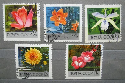 фото, ЦВЕТЫ БОТАНИЧЕСКОГО САДА = 1969 р. = гаш.