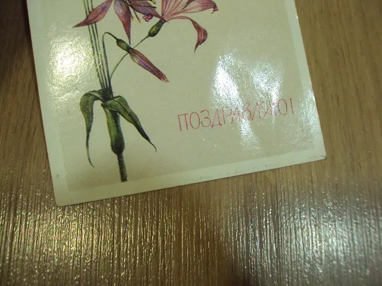 Купити Открытка Поздравляю! цветы бабочка художник Н. Савельева 1989 год №18657