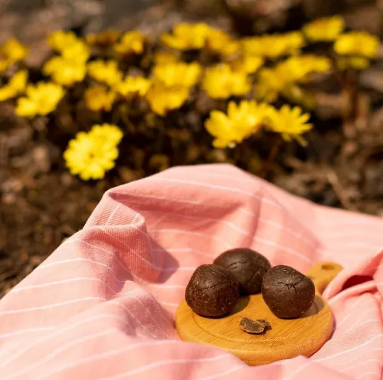 Купити Прополіс