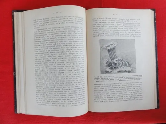 Популярні біологічні нариси. В. Шимкевич. 1898р. Інтернет-аукціон