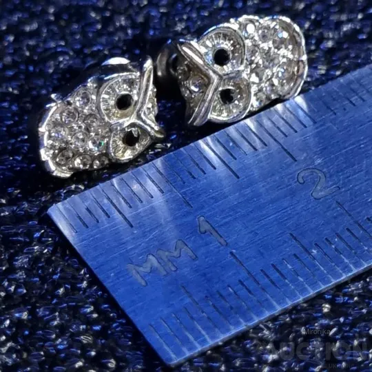 Сережки сови Де купити