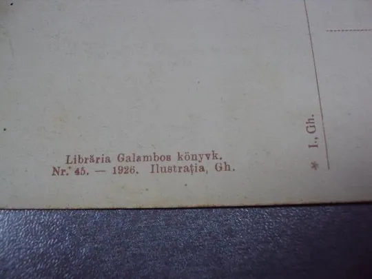 открытка Румыния Тимишоара Timisoara 1926 10 Vedere spre Bega Moara Mora №2347 Характеристики