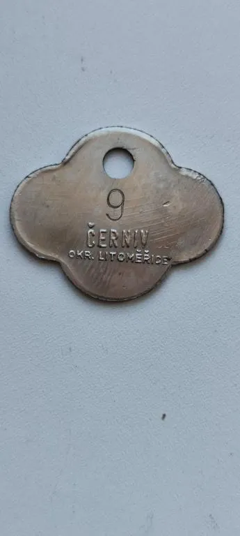Купити Собачий жетон Литомерице Чехия номер 9 ts358