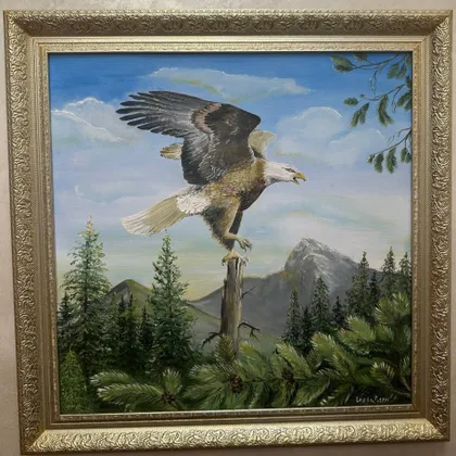 фото, Картина олією з оформленням в рамі " Погляд з висоти" 60×60