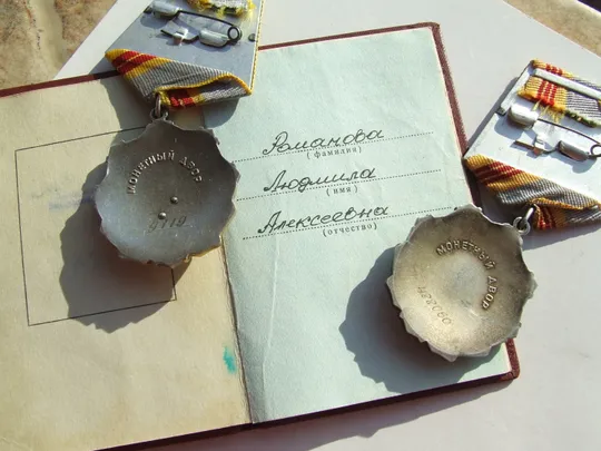 Купити Орден Трудова слава 2 ст №9119 і 3 ст. 488060 +доки на Романова Л. наг. 1981 р. і 1988 р.