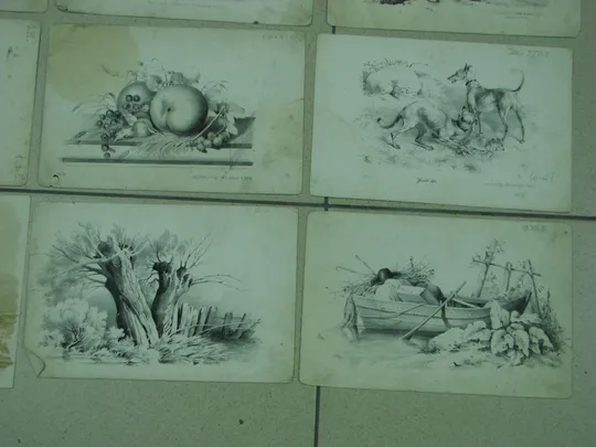 литографии германия lith druck u verlag v wilh hermes in berlin лот 9 шт №8046 Де купити