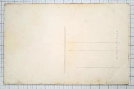 Купити Поштова картка Погляд володаря. Наполеон, поч. ХХ ст. Франція bN05