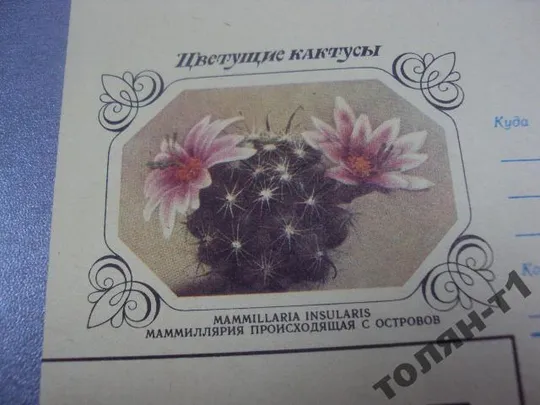 Купити конверт кактусы 1983 горин №7742