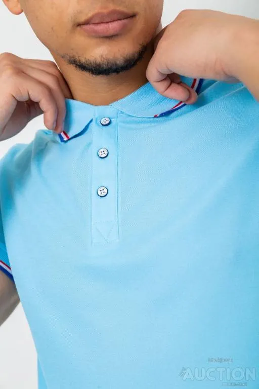 Поло мужское однотонное, цвет голубой, 243RA25 Де купити