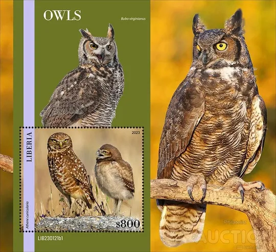 Либерия - Птицы - Совы -2023. Чистый полный красивый комплект. MNH. З аукціону