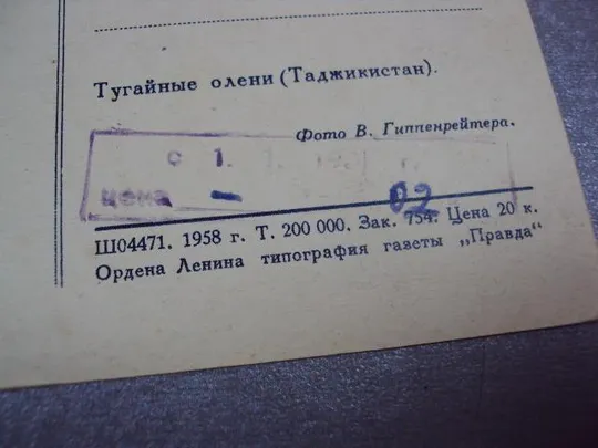 открытка тугайные олени 1958 гиппенрейтера №11035 Продаж