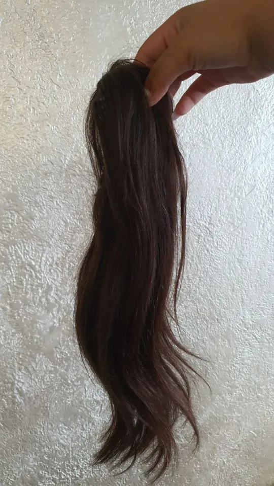 Короткий хвіст каштановий на крабі Р-08 Інтернет-аукціон