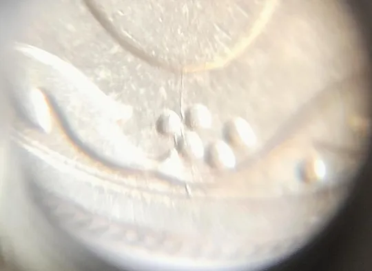 (3015) 10 копійок 2010 розкол від канту через 1 гроно до '0' номіналу (10 копеек 2010 брак) З аукціону