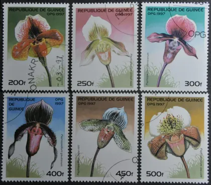 фото, Гвинея Флора Цветы Орхидеи 1997