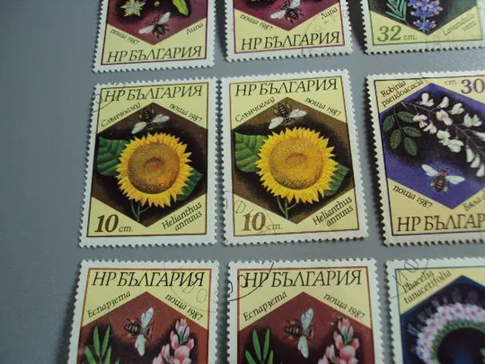 Купити Марки серия Болгария 1987 флора цветы растения и пчелы лот 13 шт гаш №10394